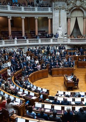 Parlament zatwierdza zmiany w prawie gleby, z zielonym światłem PSD, CDS i (prawie wszystkie) PS