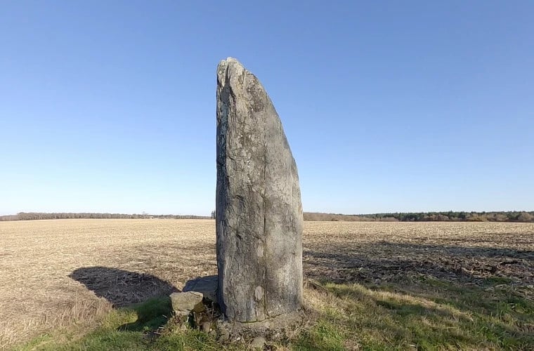 Archeolodzy w Saksonii znaleźli dużą kamienną płytę. Co ona ma na myśli