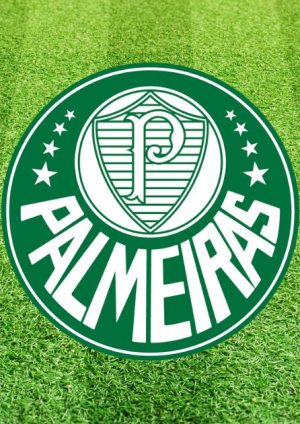 O której godzinie jest gra Palmeiras i gdzie oglądać online (1/3)