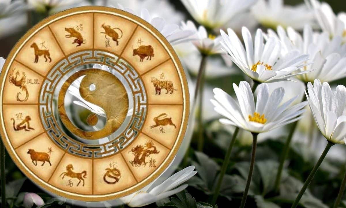 Horoskop 8 marca 2025 r. Triplu Signies Brue by Women Day 2025