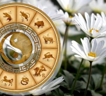 Horoskop 8 marca 2025 r. Triplu Signies Brue by Women Day 2025